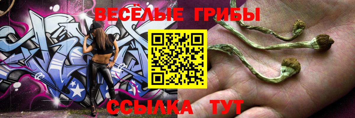 Псилоцибиновые грибы мицелий Звенигород